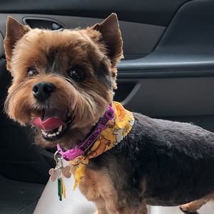 Meet your Posher, April